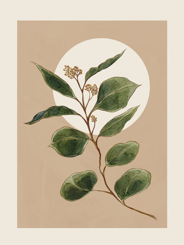 Beautiful Plant Leaves 3