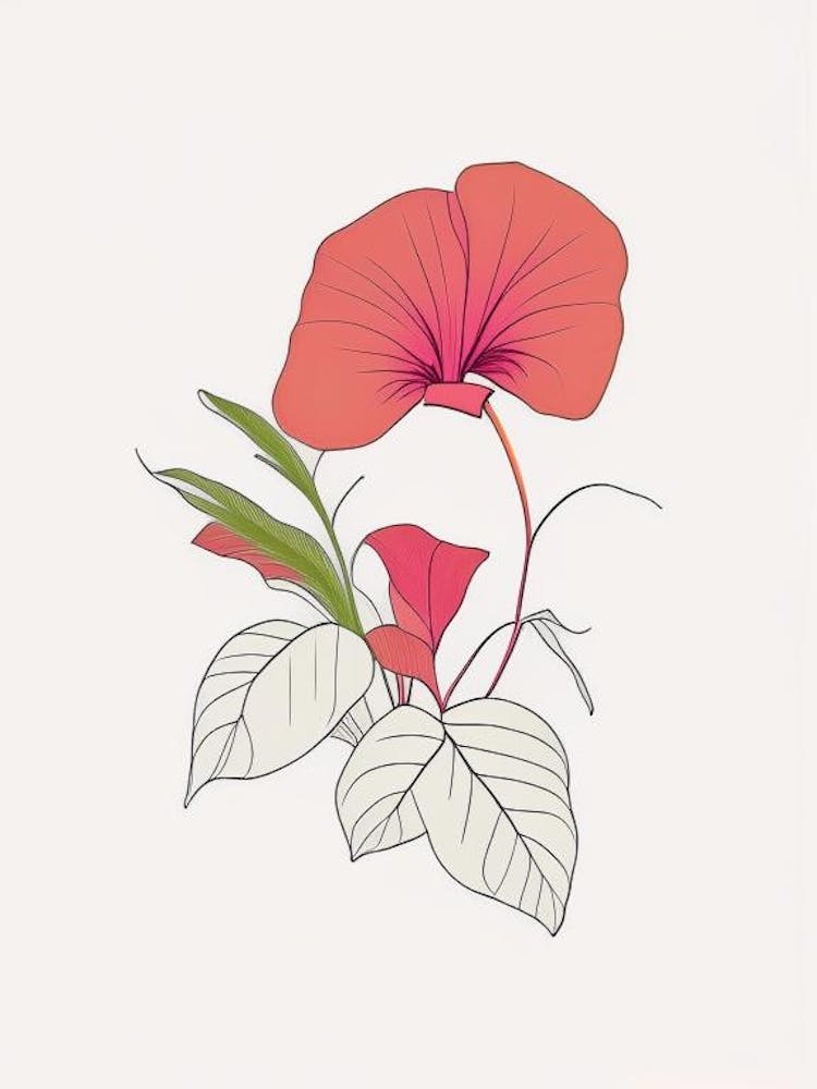 Impatiens Floral Minimal Line Drawing 3 Flower