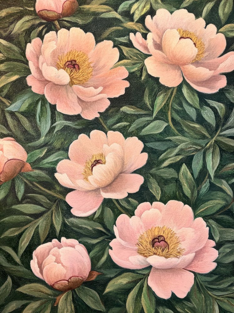 Pink Peonies 7