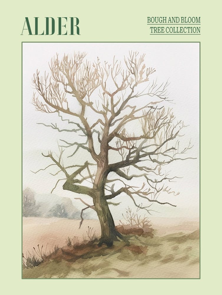 Alder Tree Atmospheric Watercolour Painting 7 Poster