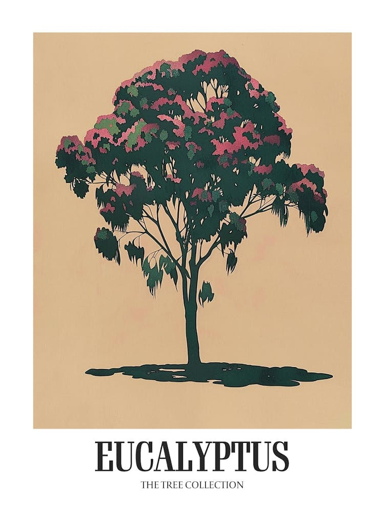 Eucalyptus Tree Colourful Illustration 4 Poster