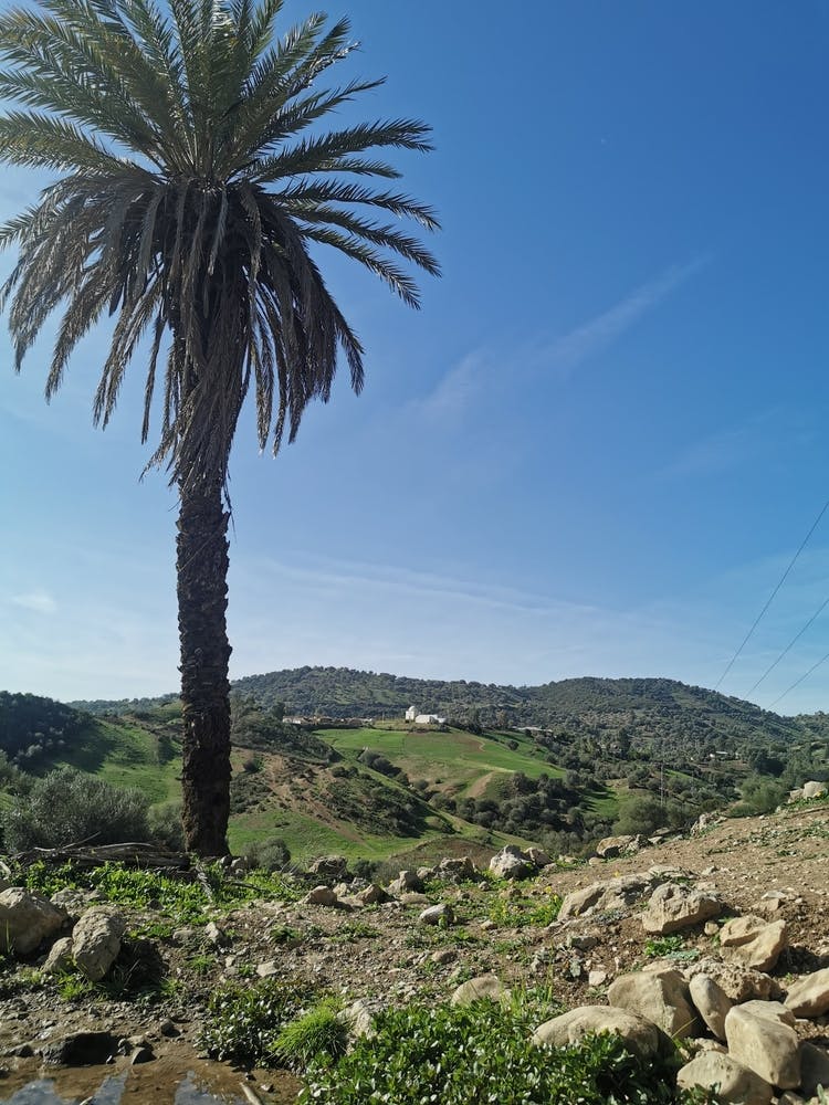 Img 20231230 125129