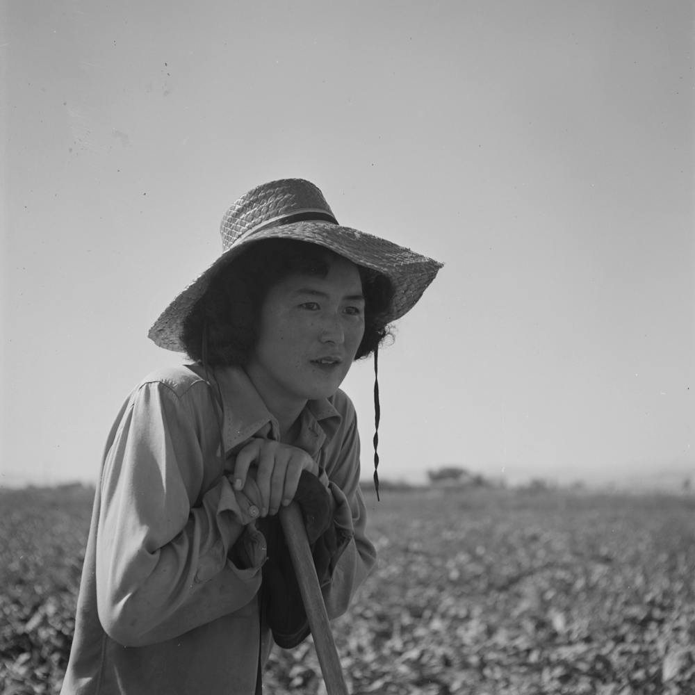 Untitled Photo, Possibly Related To Nyssa, Oregon, Fsa (Farm Security Administration) Mobile Camp,Japanes