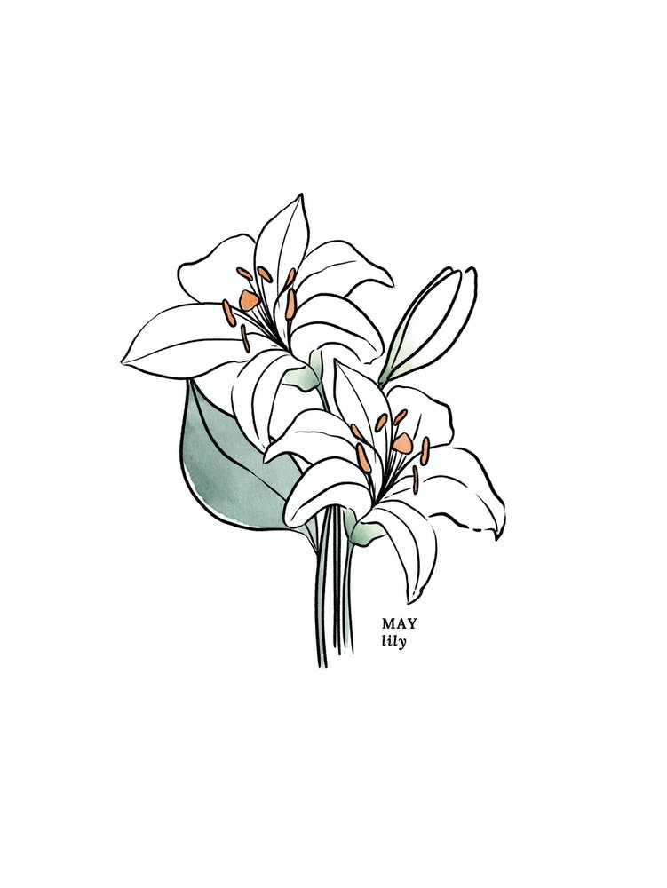 May Lily Birth Flower
