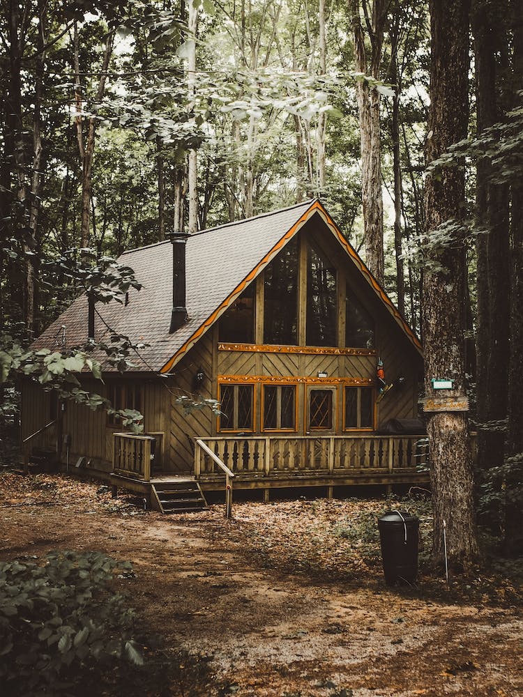 Woodland Cabin