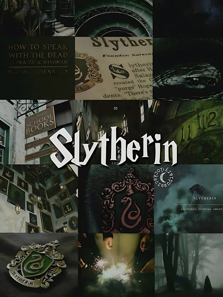 Harry Potter Slytherin 20