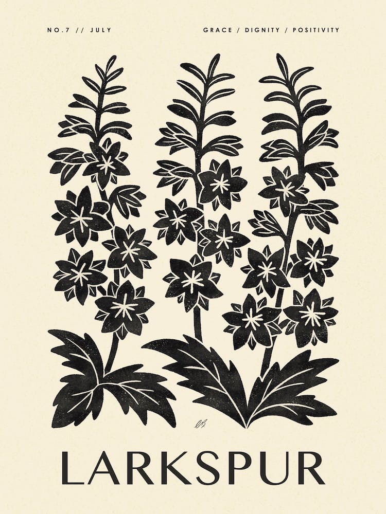 Rustic July Birth Flower Larkspur Black Cream