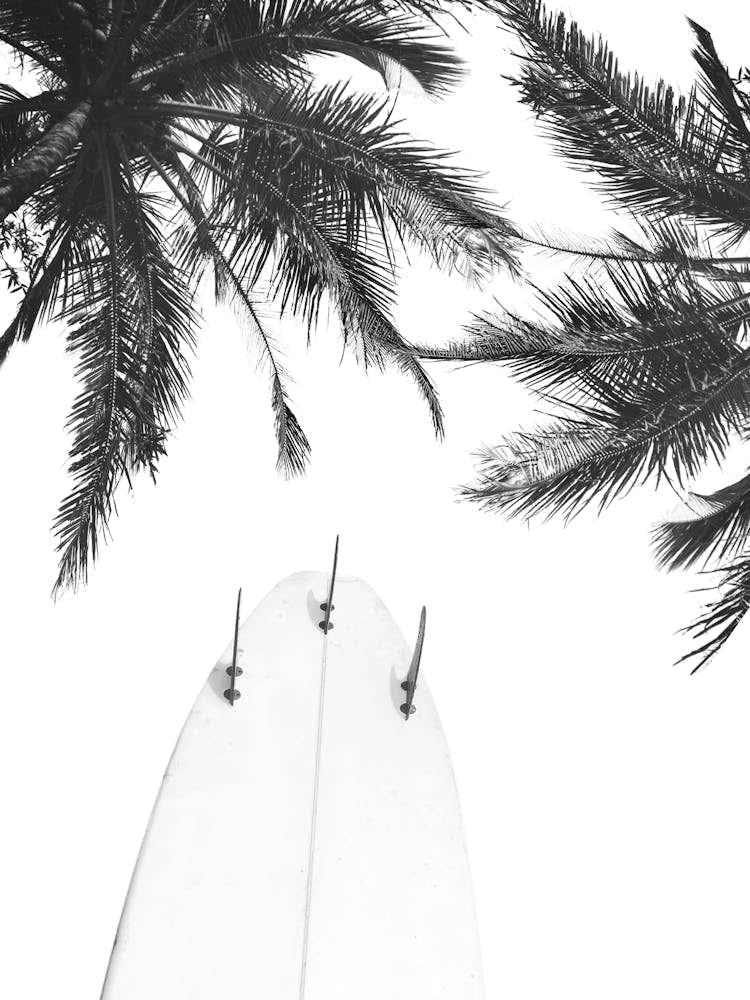 Black And White Surfboard
