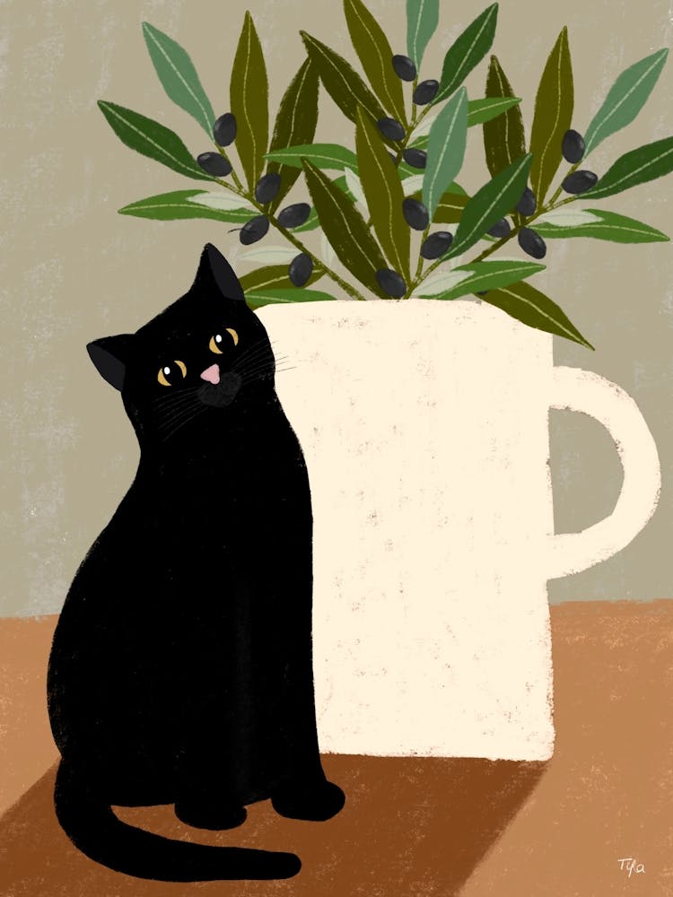 Cat and Olives