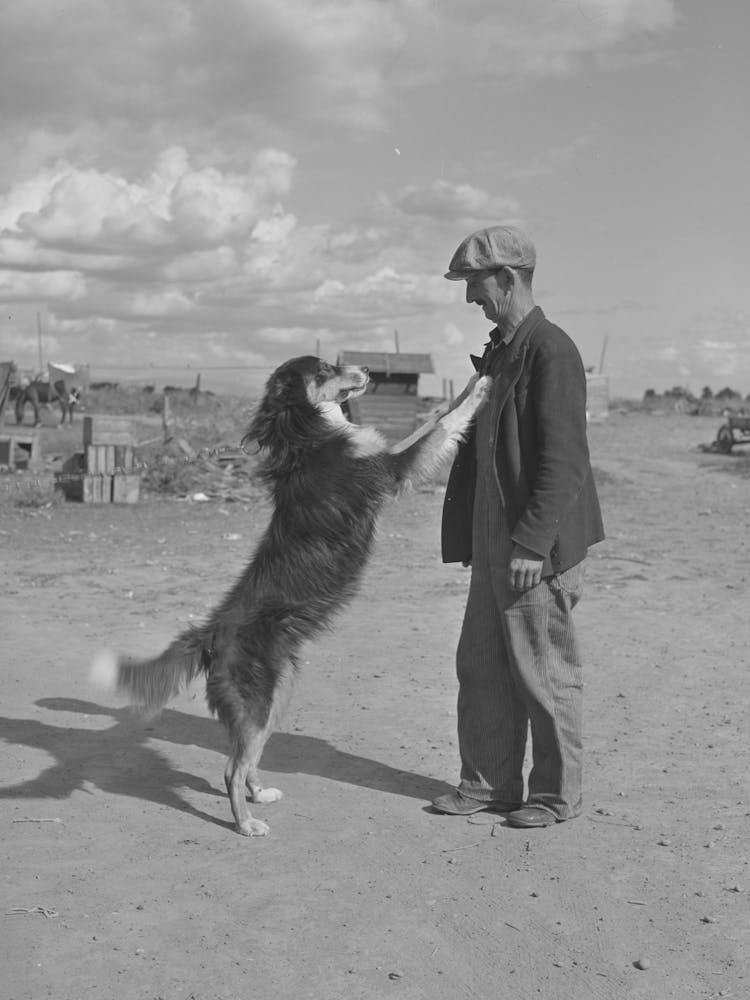 Farmer And His Dog,Yakima County, Washington By Russell Lee