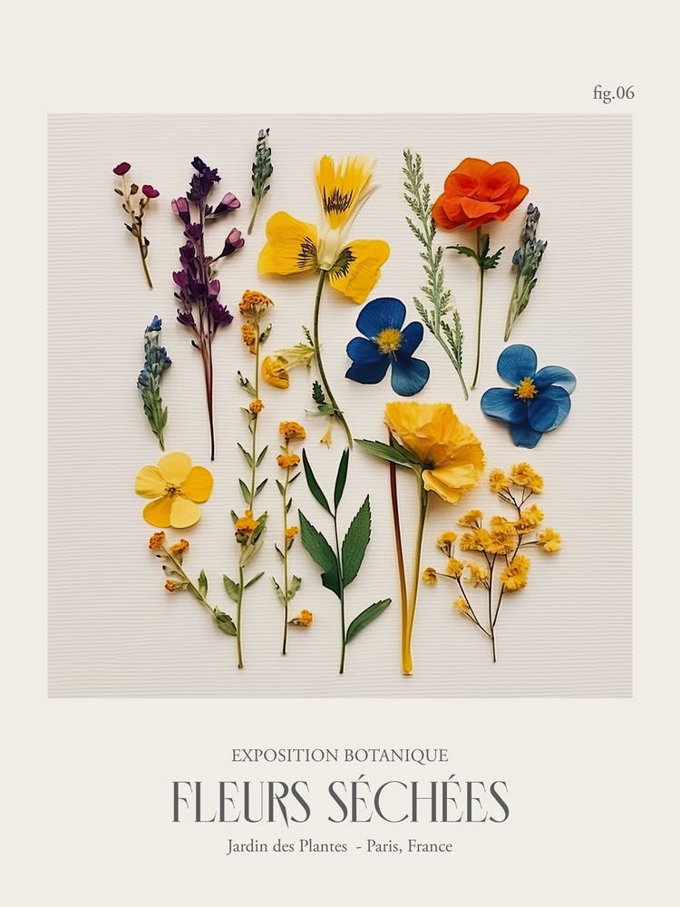Fleurs Sechees, Dried Flowers Exhibition Poster 06