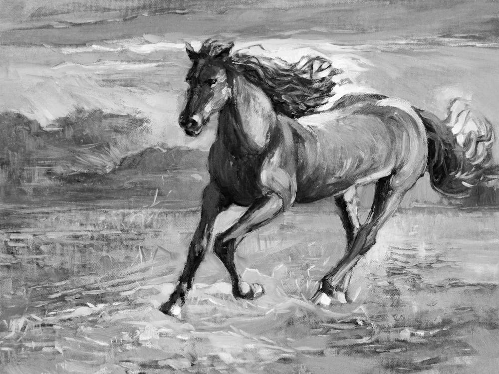 Horse Galloping