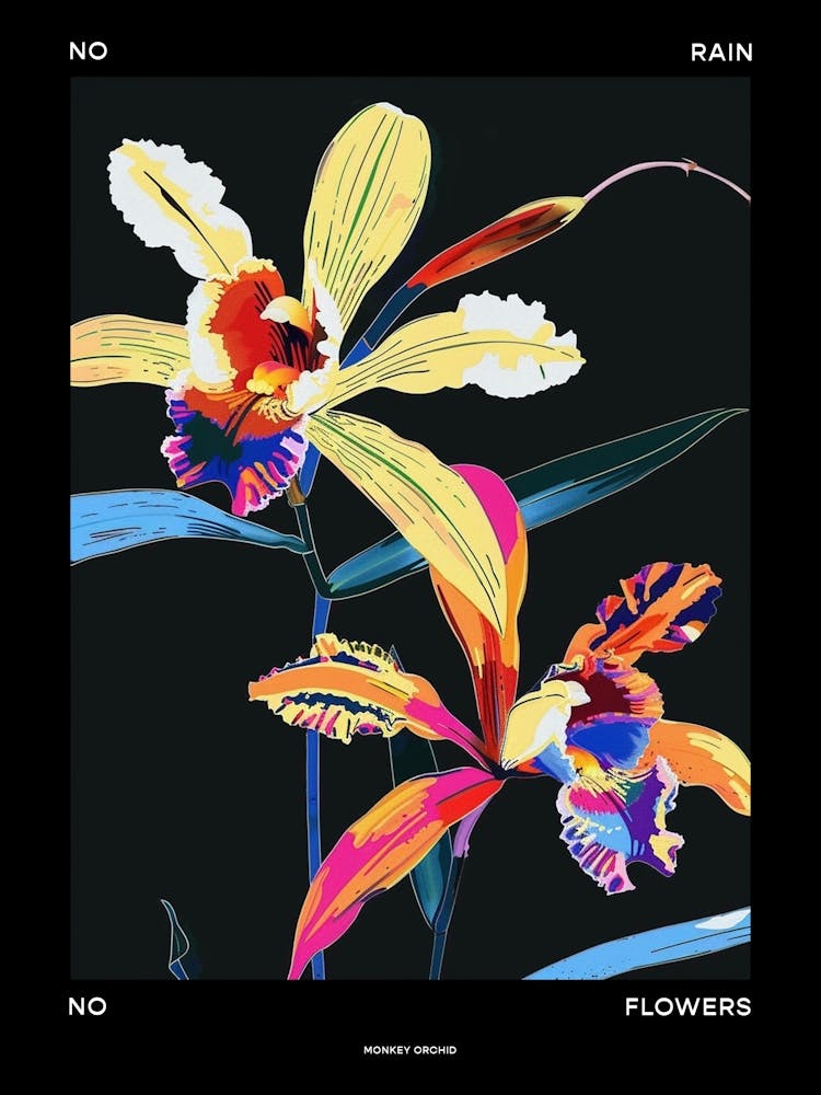 No Rain No Flowers Poster Monkey Orchid 1