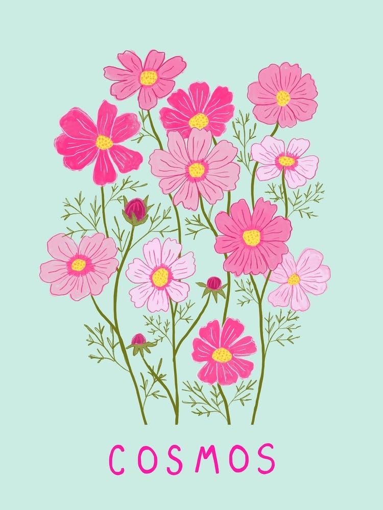 Cosmos