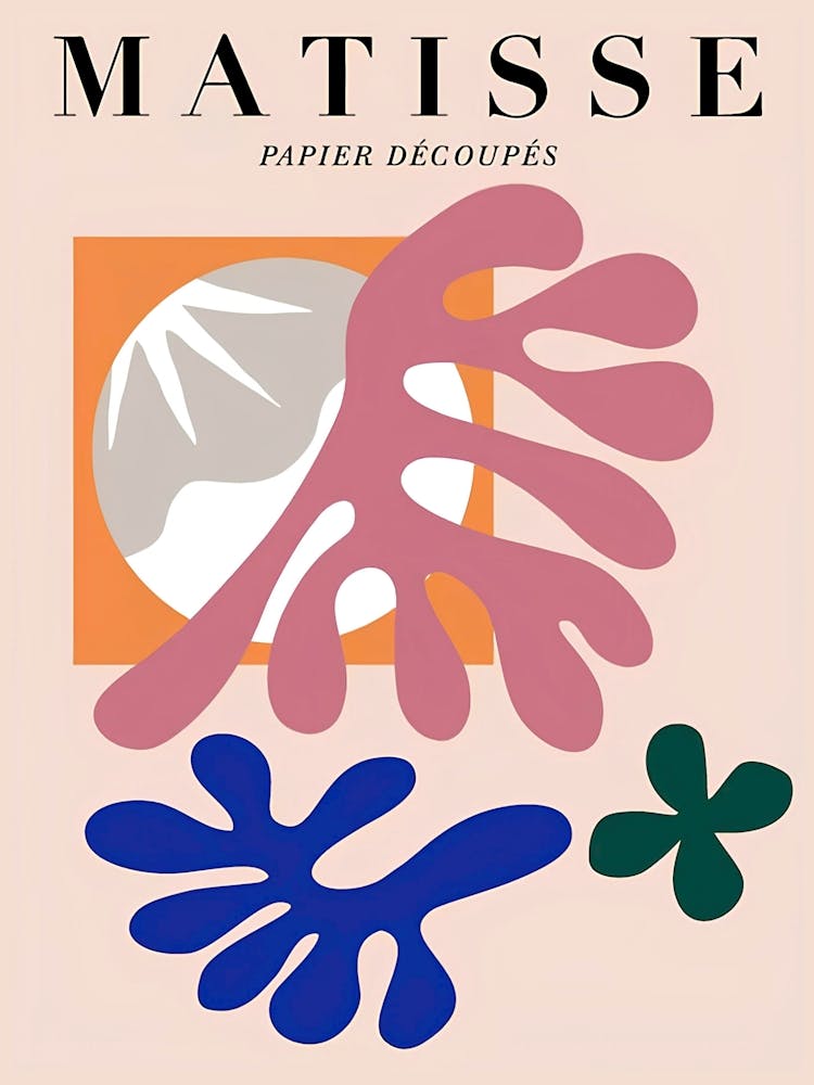 Matisse Paper Découses