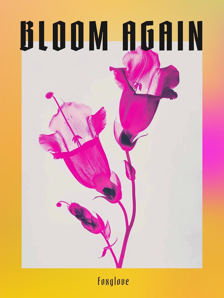 Hot Pink Foxglove 1 Poster