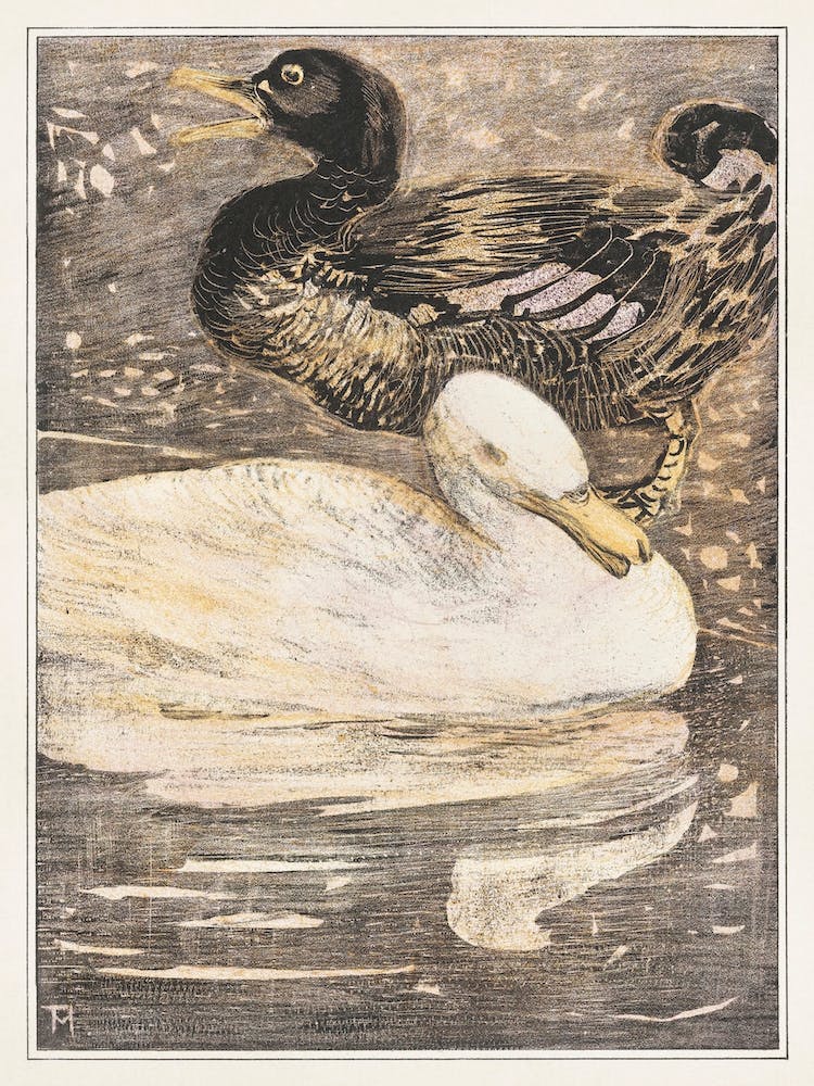 Two Ducks (1878–1907), Theo Van Hoytema