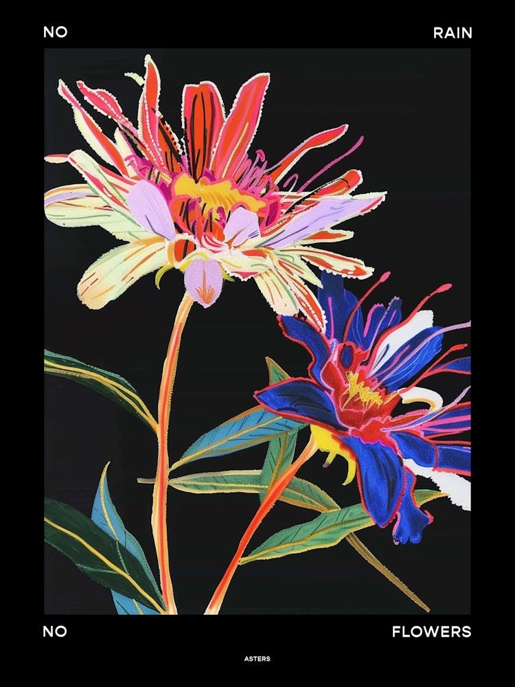 No Rain No Flowers Poster Asters 4