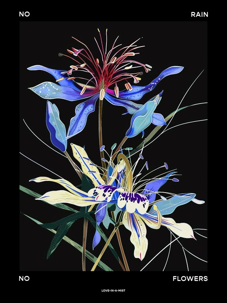 No Rain No Flowers Poster Love In A Mist Nigella 5