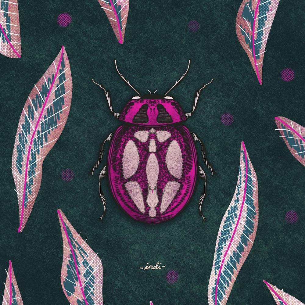 Bug 03 Square