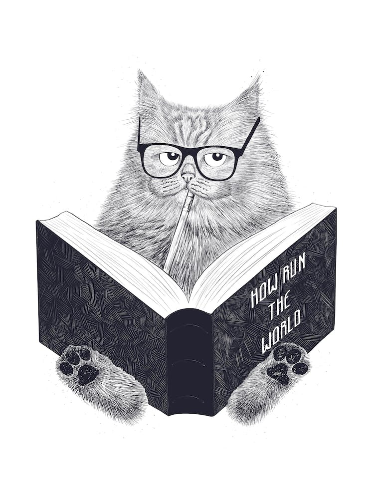 Smart Cat