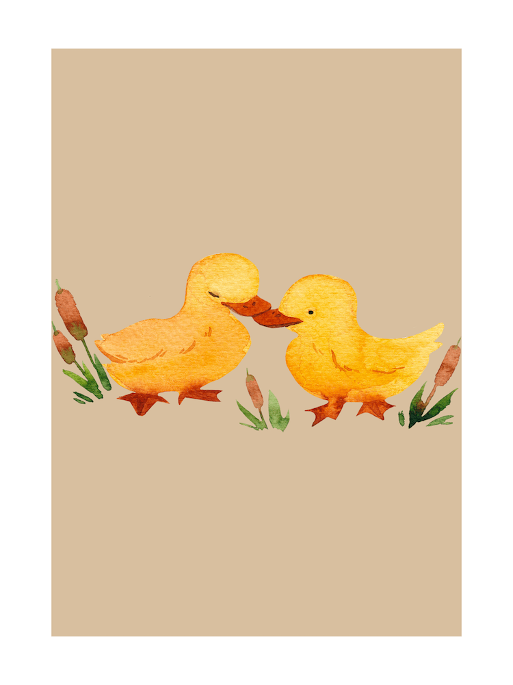 Parent Mother and Duckling