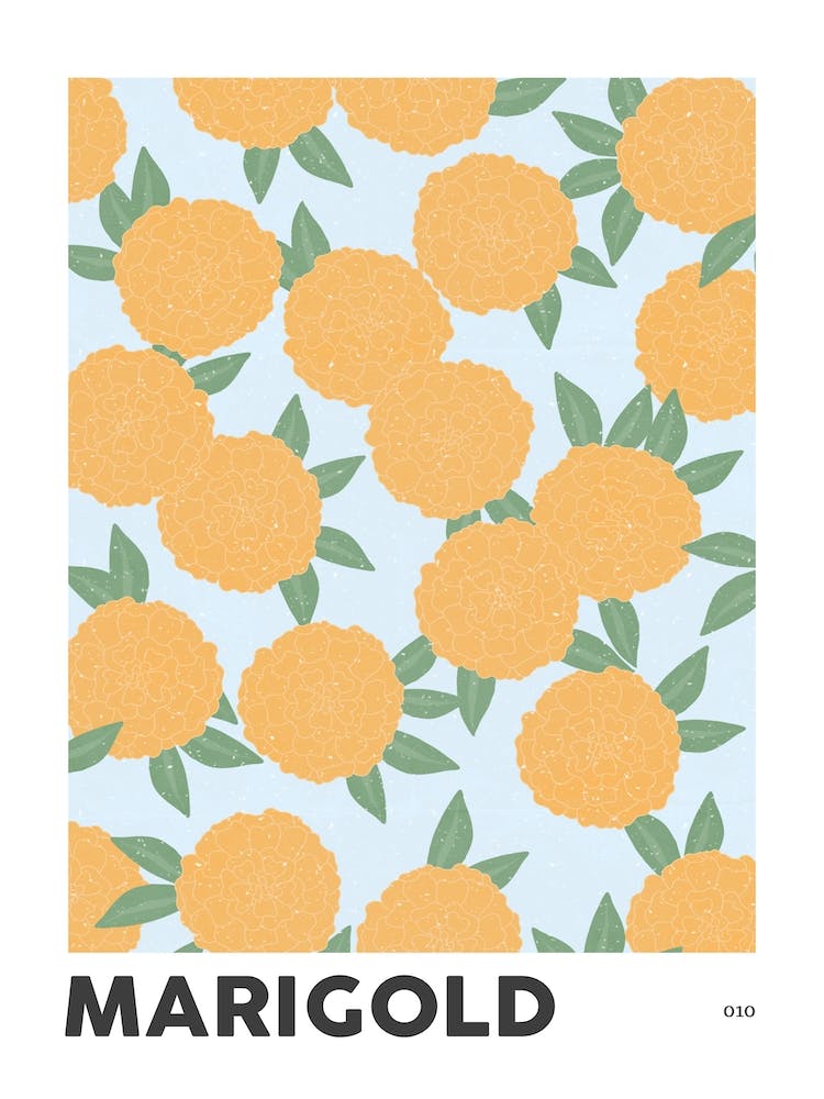 Marigold October Birth Flower