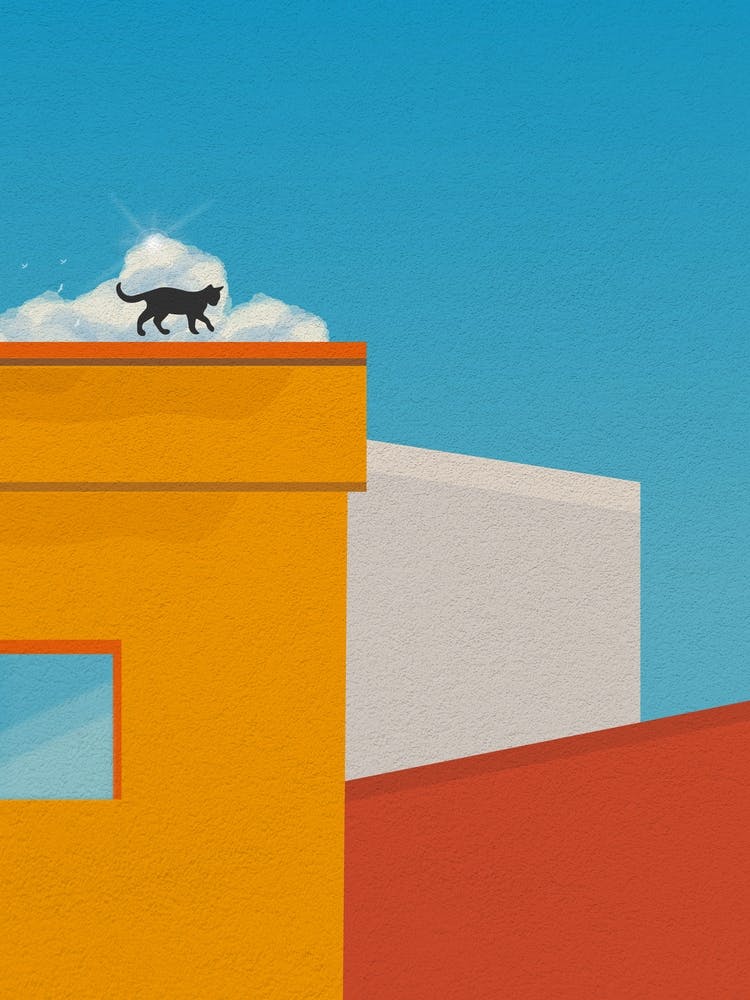 Minimal art colorful Cat On Roof