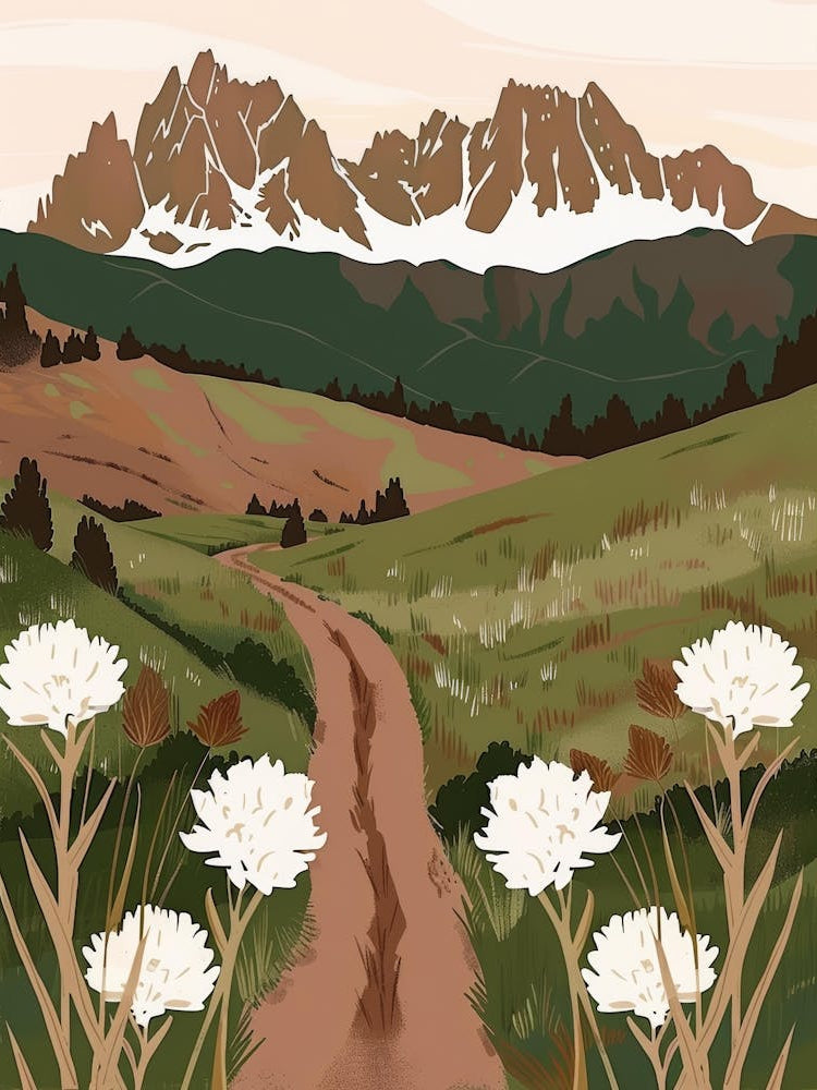 Road In The Mountains 5