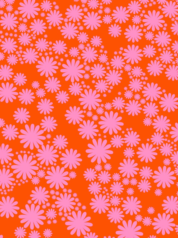 Daisy Garden | 07 - Pink And Orange