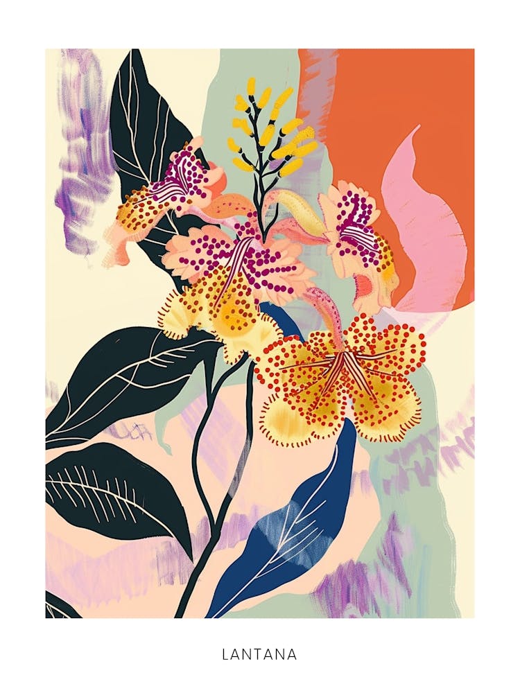 Colourful Flower Illustration Poster Lantana 2