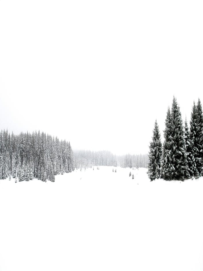 White White Winter 3