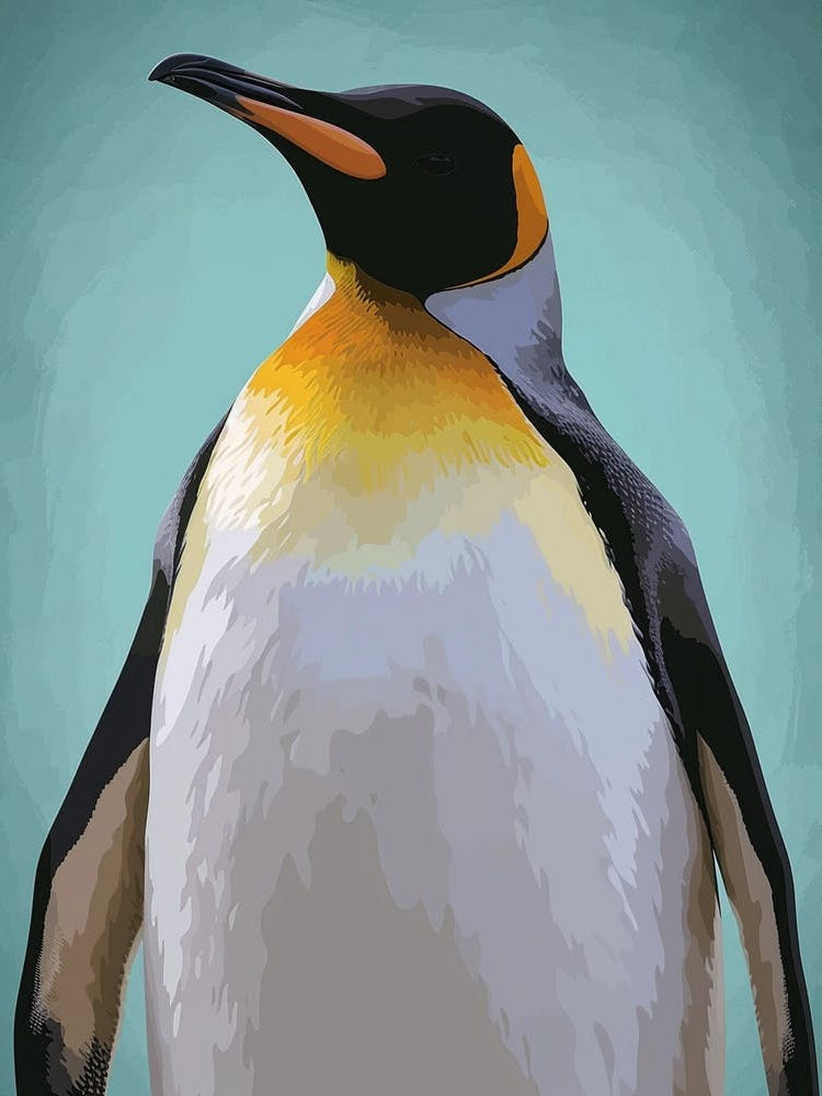 Emperor Penguin Floreana Island Minimalist Illustration 2