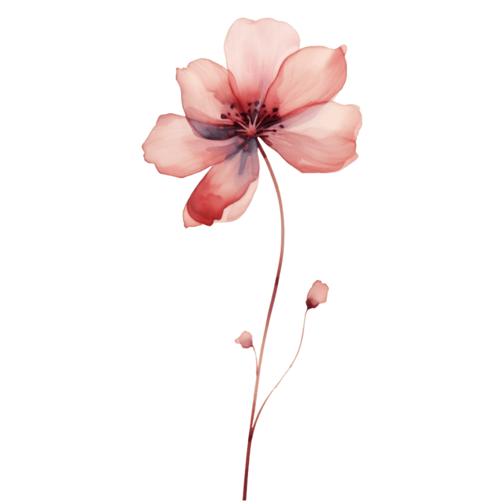 Pomegranate Flower