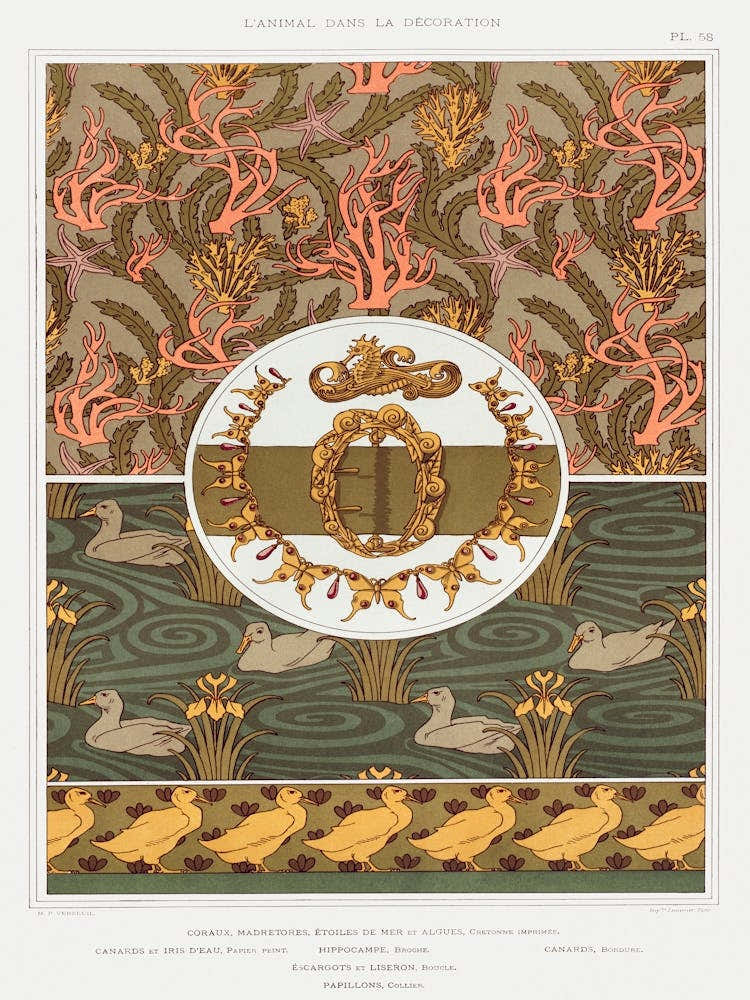 Corals, Madrepores, Starfish And Algae, Maurice Pillard Verneuil