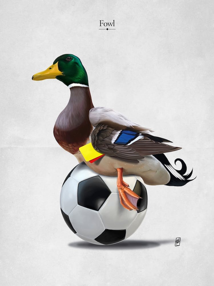 Fowl