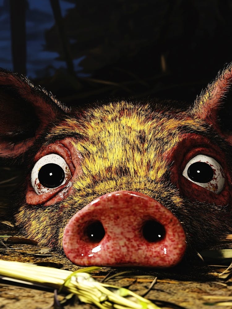 Pig With Big Eyes 1