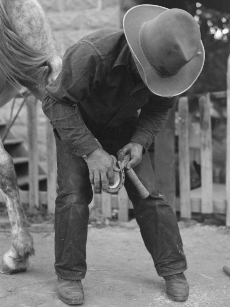 Untitled Photo, Possibly Related To Mormon Farmer Shoeing A Horse, Santa Clara, Utah By Russell Lee 2