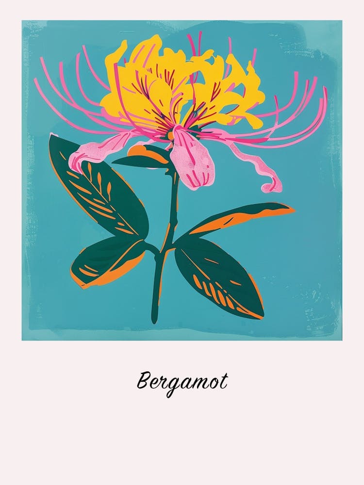 Bergamot 2 Square Flower Illustration Poster