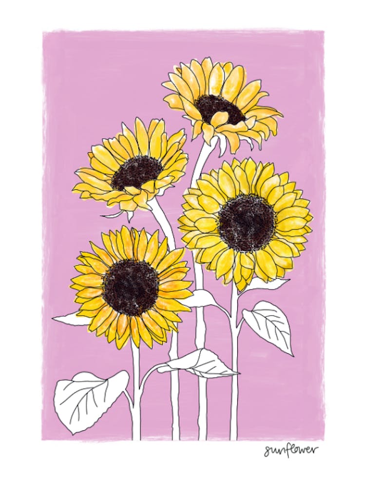 Sunflowers