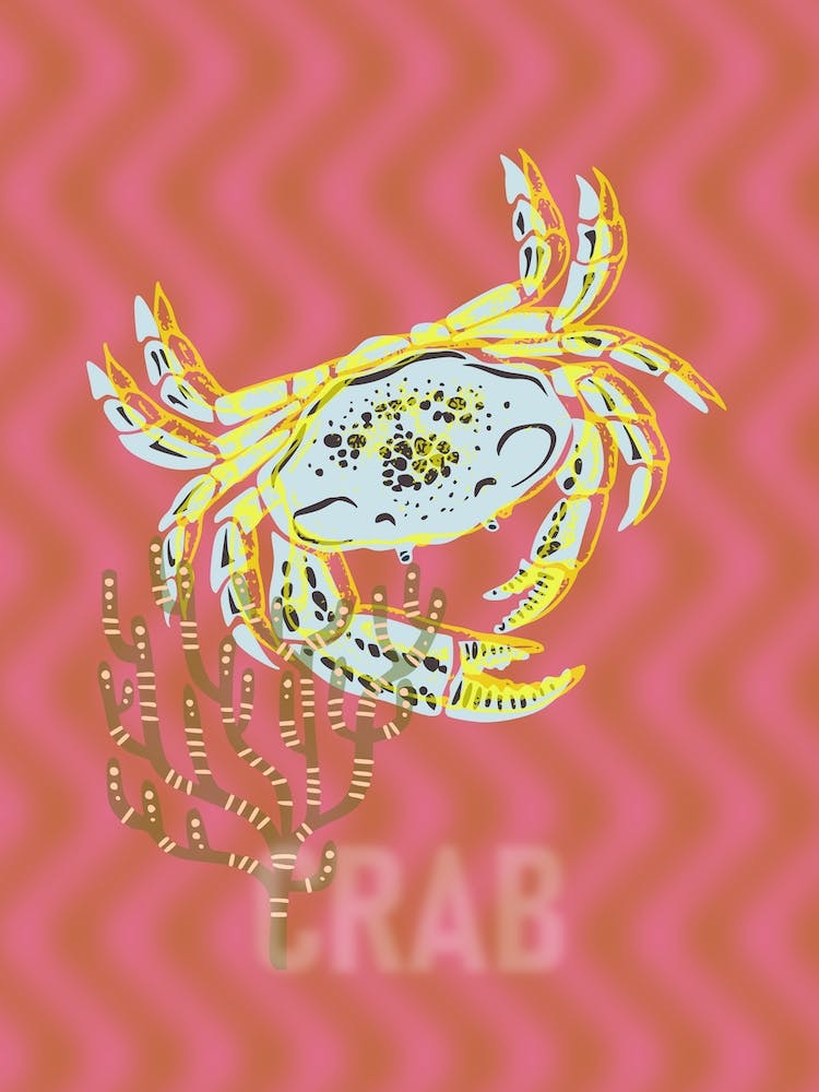 Sea Life Crab