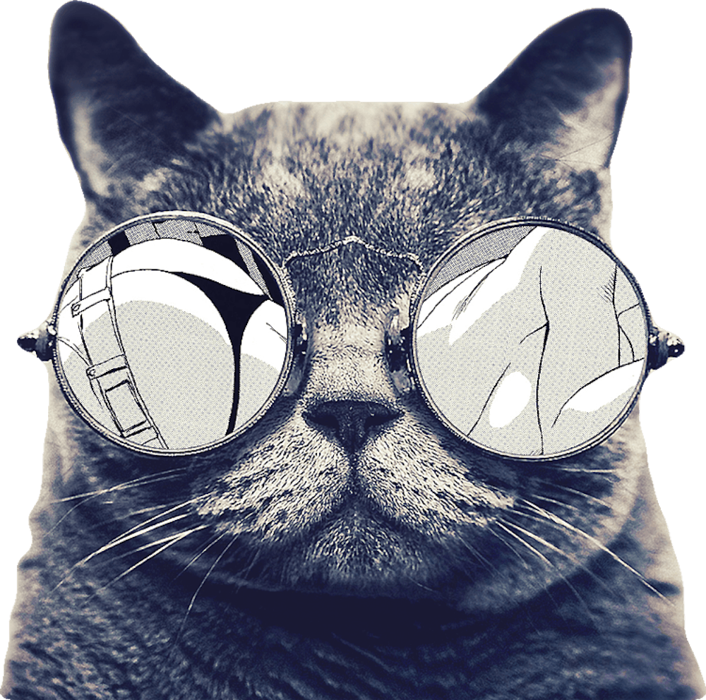 Cat Wearing Hippie Sunglasses Cat Kitten Dog Cuteness Animals Mammal Animal
