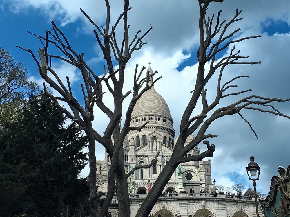 Montmartre Sacre Coeur And A Tree (Paris Series)