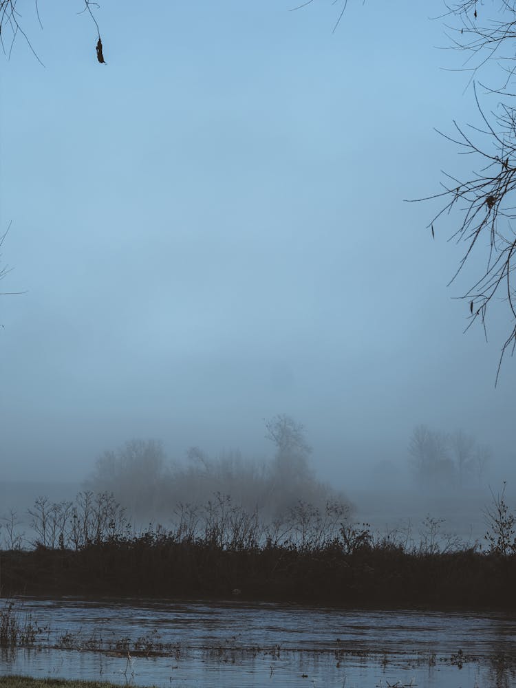 Foggy Morning