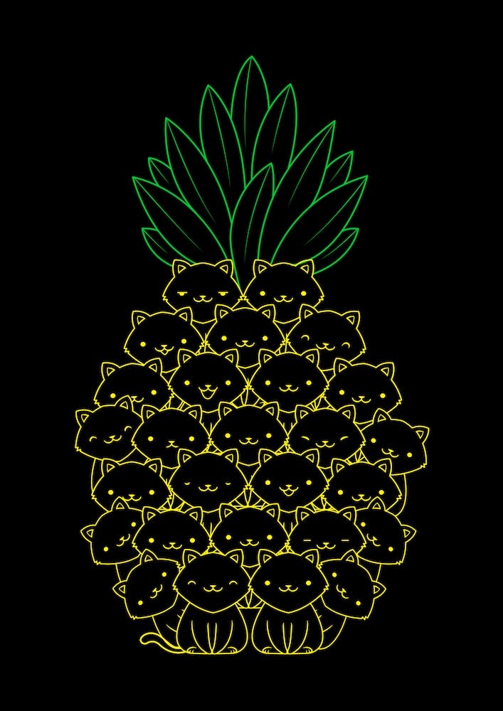 Chat Ananas