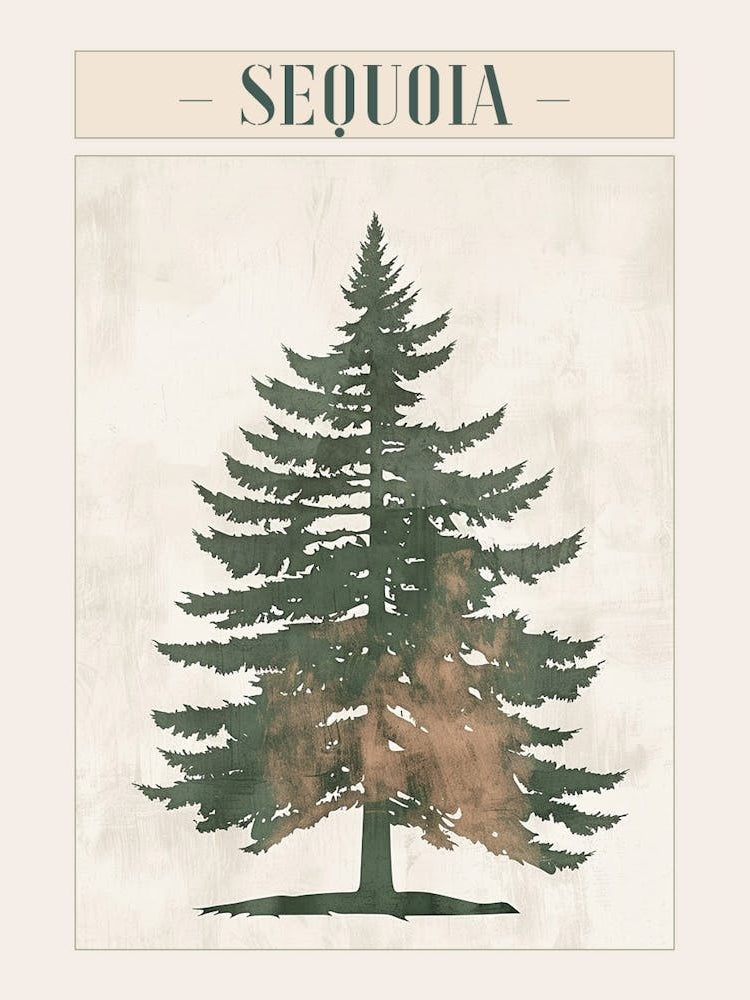 Sequoia Tree Minimal Japandi Illustration 3 Poster