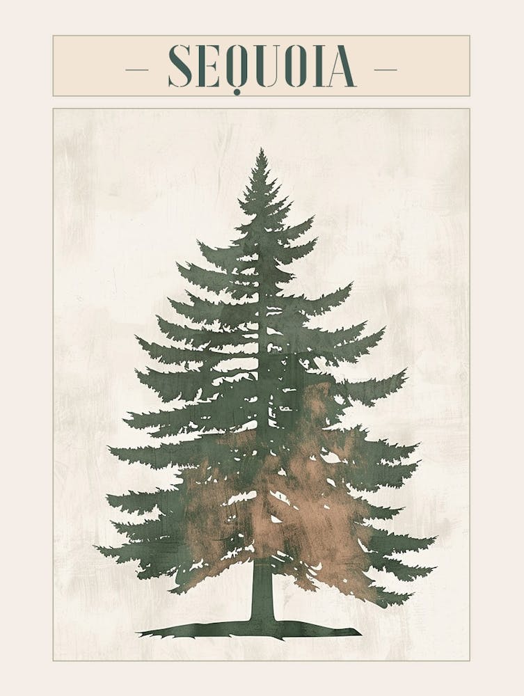 Sequoia Tree Minimal Japandi Illustration 3 Poster