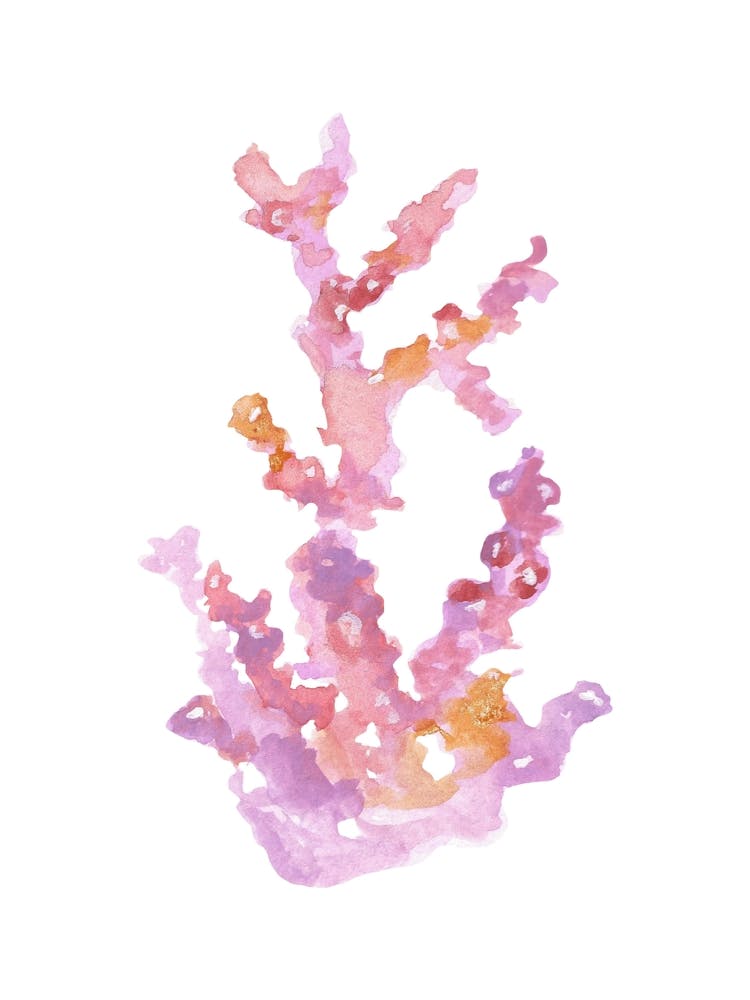 Coral Reef Watercolor Painting