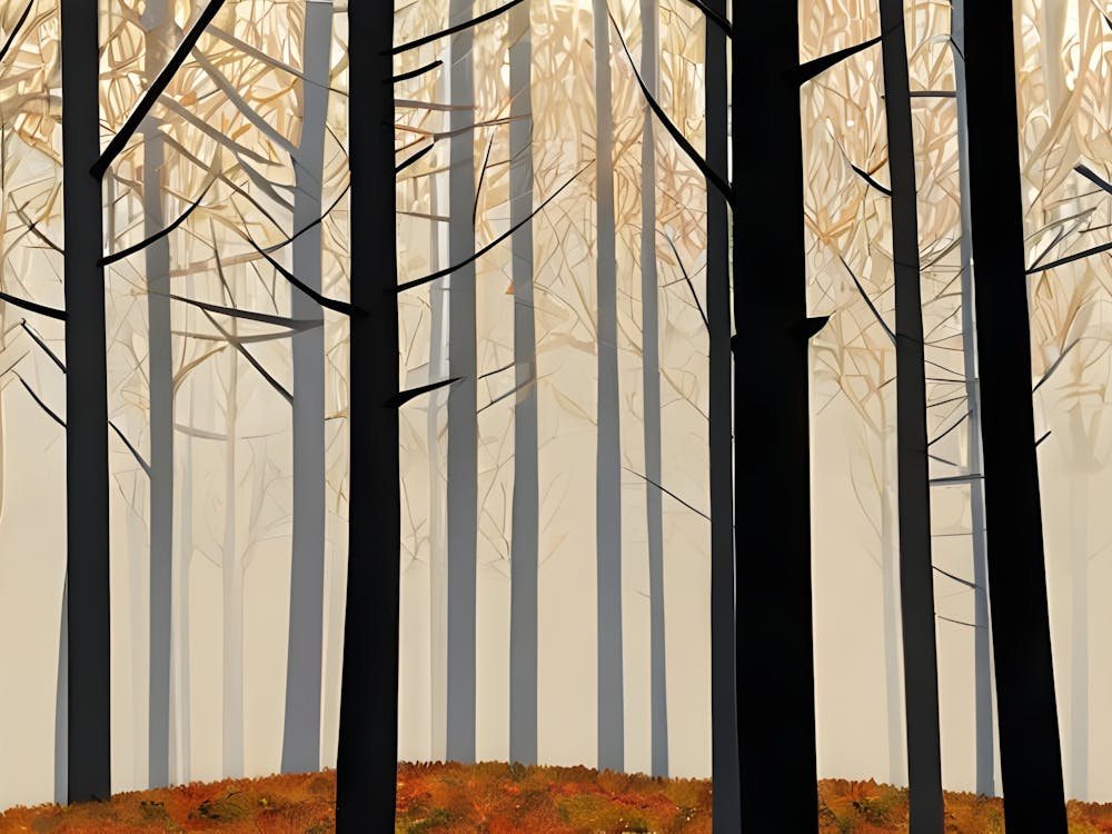 Autumn Forest 14