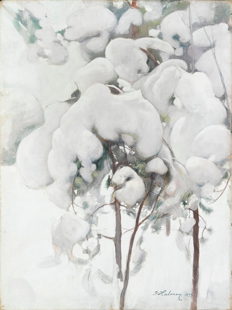 Snow Covered Pine Saplings (1899), Pekka Halonen